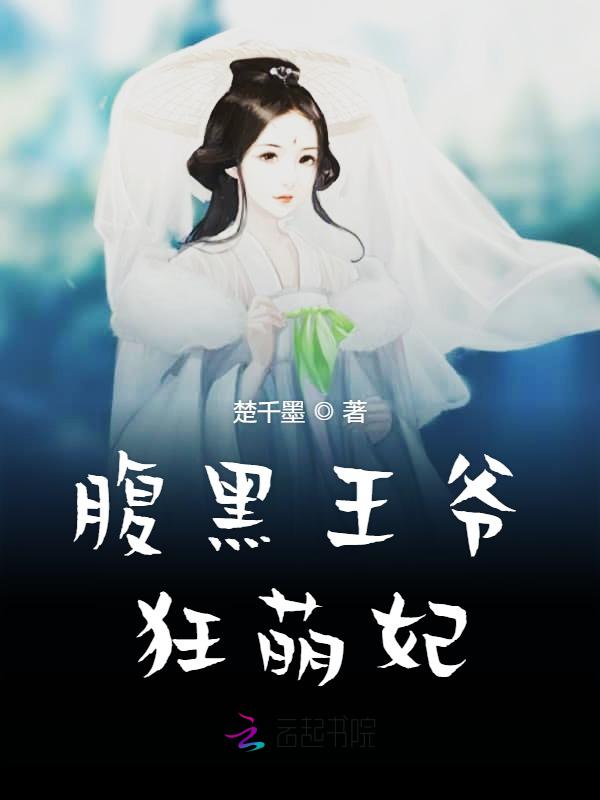 讼师宠妃誓不做妾 小说