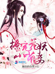 豪门赘婿林风